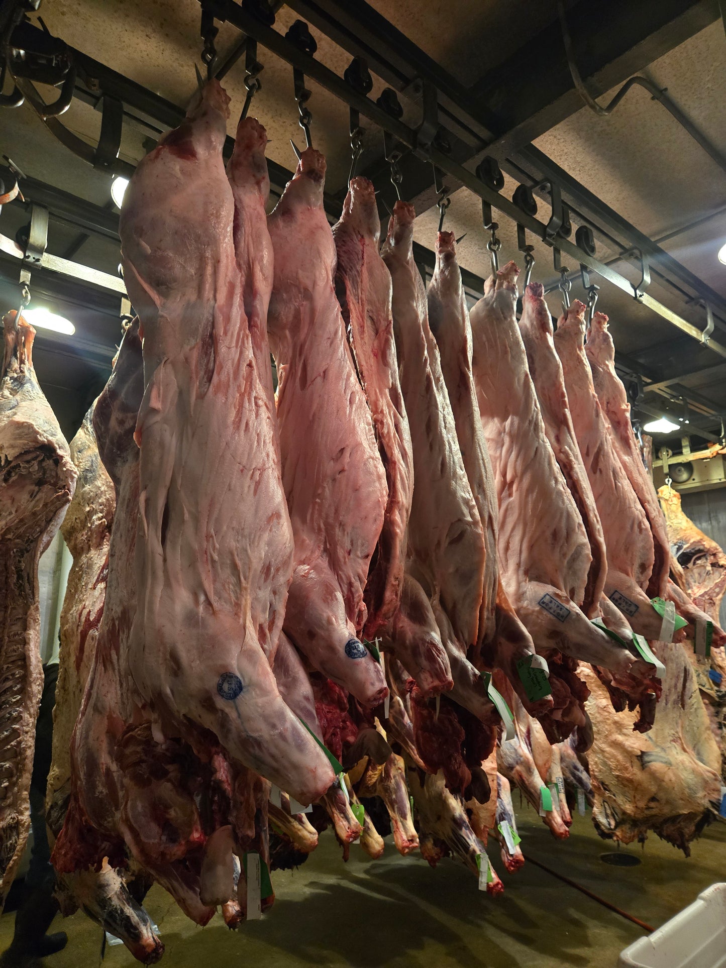 Full Cow Deposit